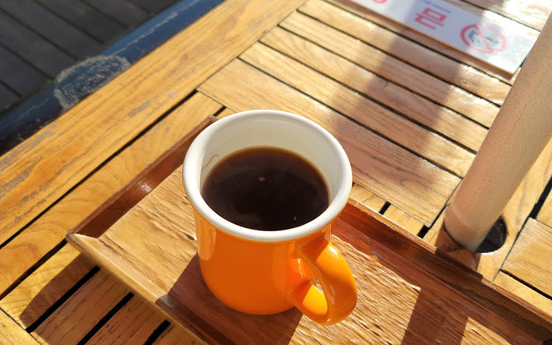 커피나무