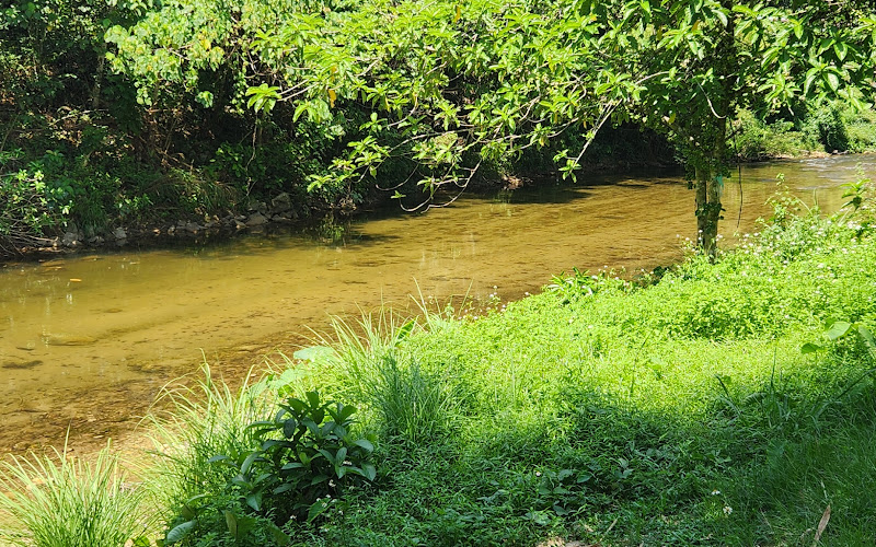 Hub Eko Pelancongan Hulu Selama, Perak