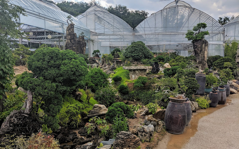 Korea Bonsai Museum | 분재박물관