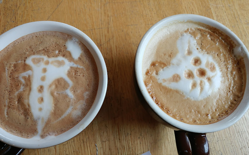 Coffee By Design