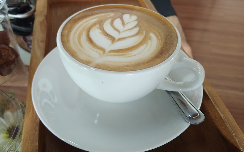 ไร่กาแฟจ่านรินทร์