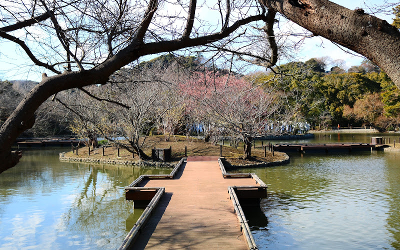 鶴岡八幡宮