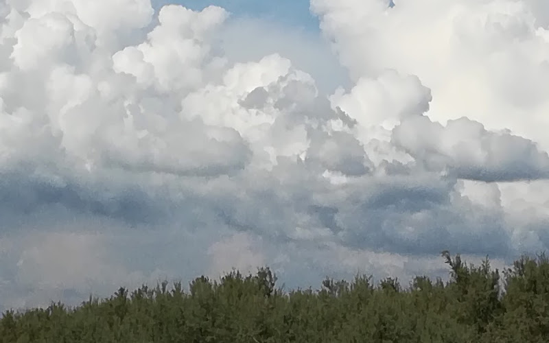 プッブリコ公園