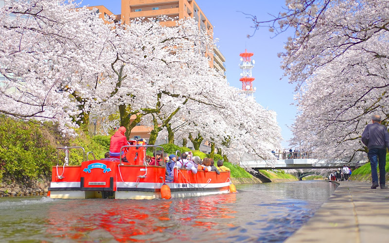 Matsukawa River Cherry Blossoms