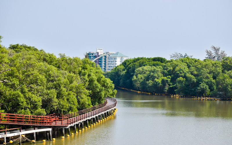 Phra Chedi Klang Nam's Mangrove Forest