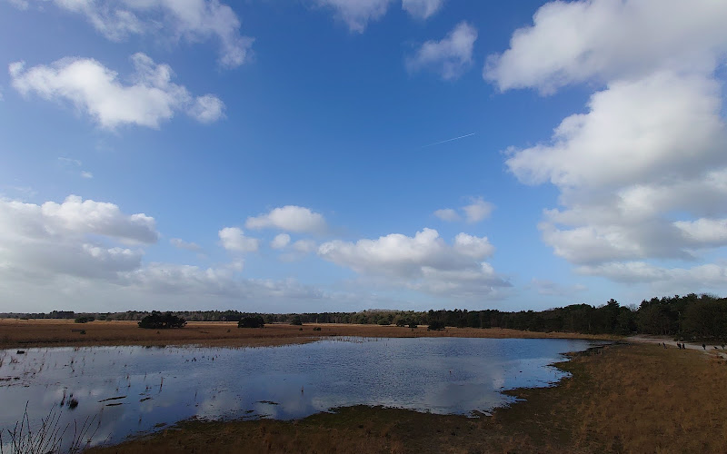 Landschotse Heide