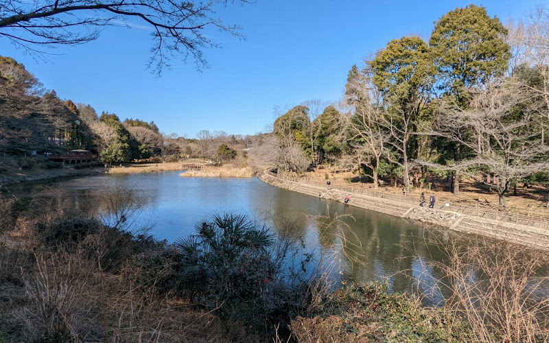 しらかしの池