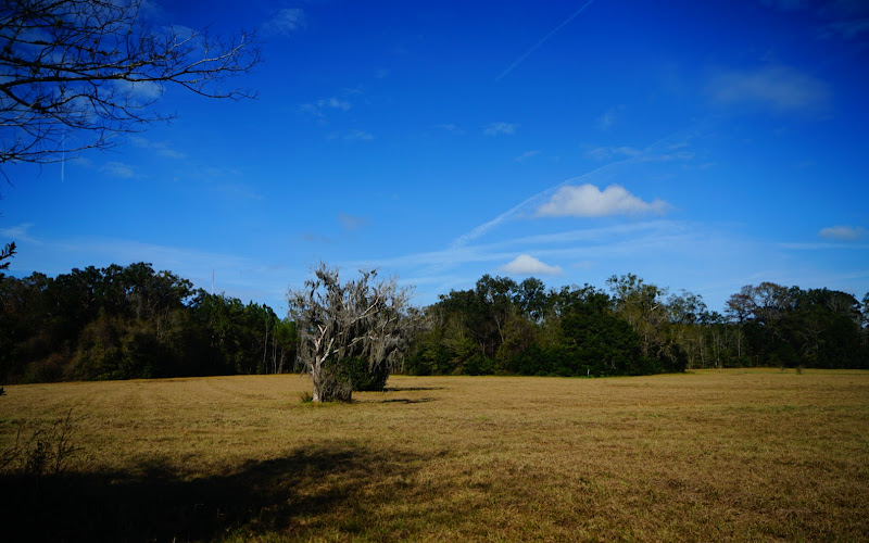 Miccosukee Greenway Thornton Rd Trailhead