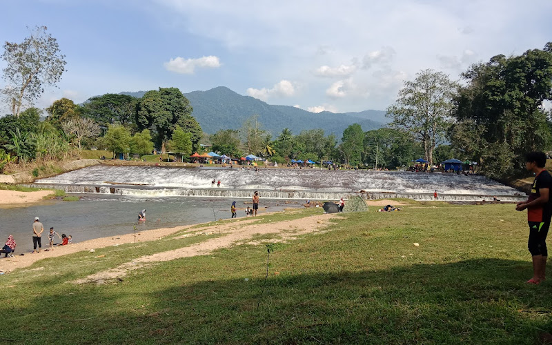 アンパン・ピカー