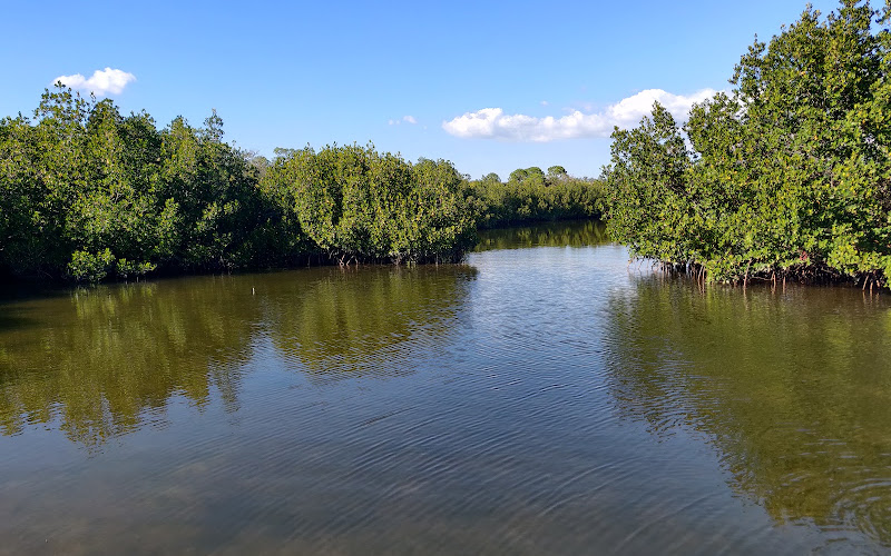 Upper Tampa Bay Park