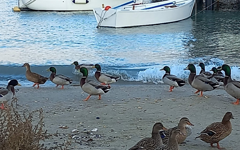 プッブリコ公園