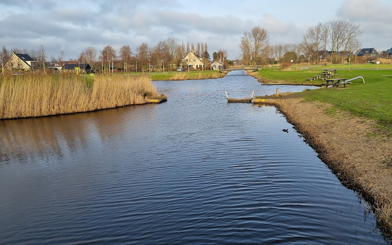 Dorpsweide ('t Duyfrak)