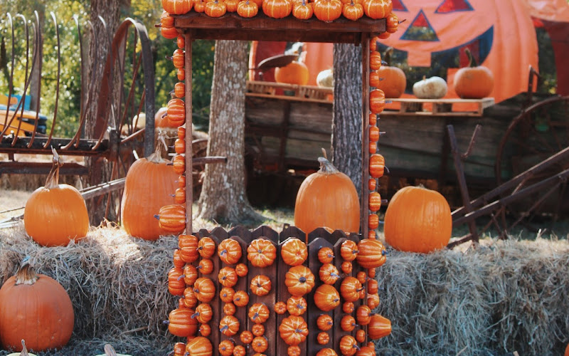 Round Rock Pumpkin Festival