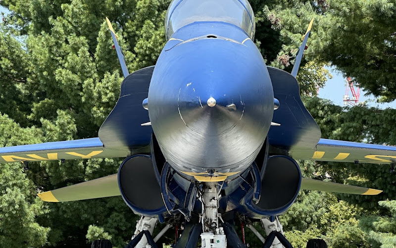 Blue Angel Jet