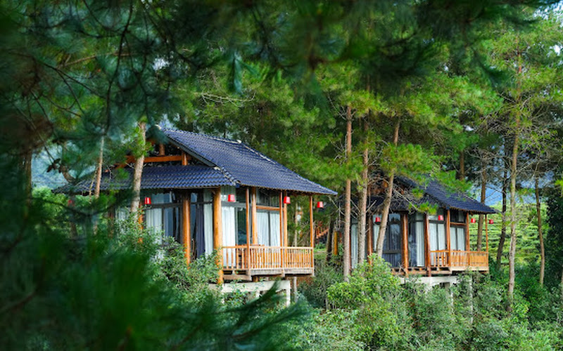 Tân Uyên Paradise