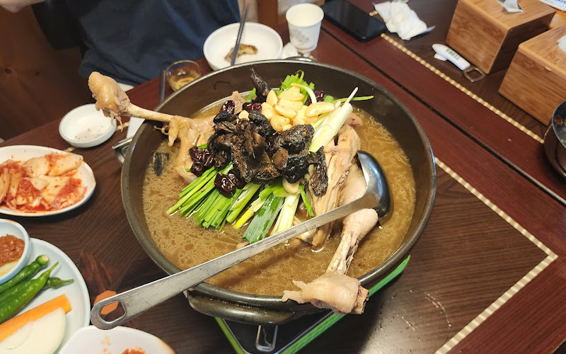 산천초목