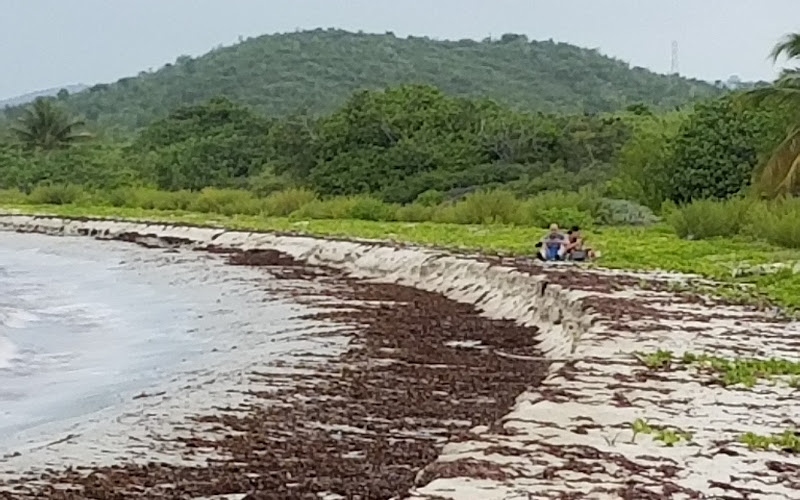 Vieques National Wildlife Reserve Admin Building and Visitor Contact Station