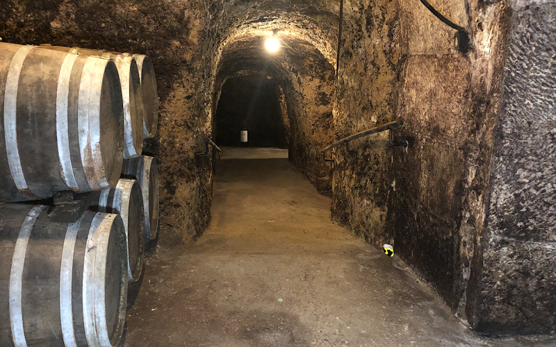 Bodegas Carlos San Pedro Pérez de Viñaspre