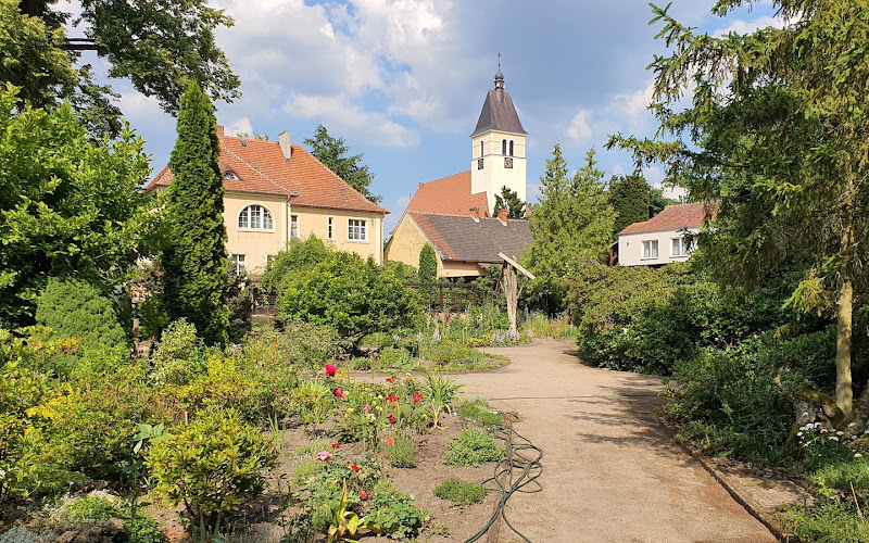 Ogrod botaniczny w Zagwiździu