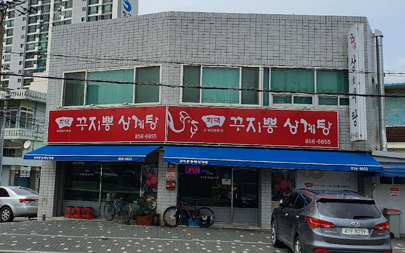 꾸지뽕 화택삼계