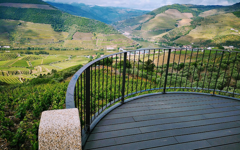 Quinta do Jalloto - Family vineyards