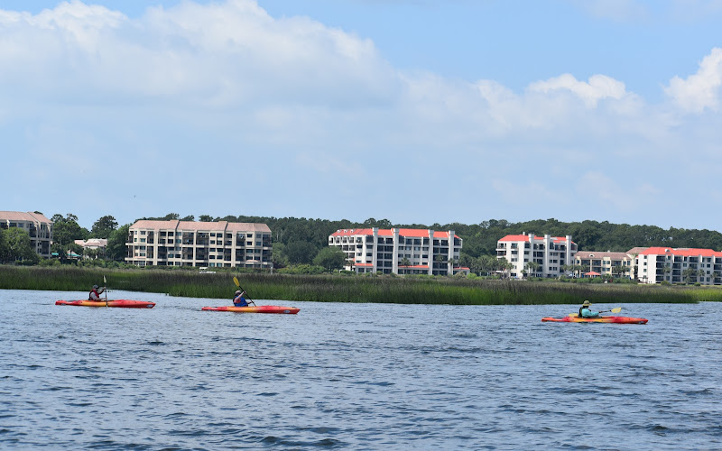 Dolphin & Nature Tour