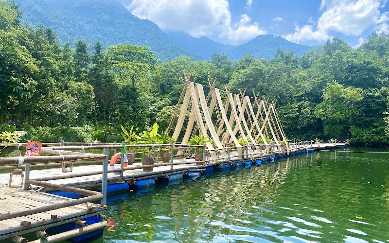 Đồi Thông Ba Vì