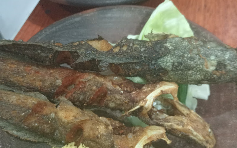 Lalapan Locot Spesial Nasi Uduk