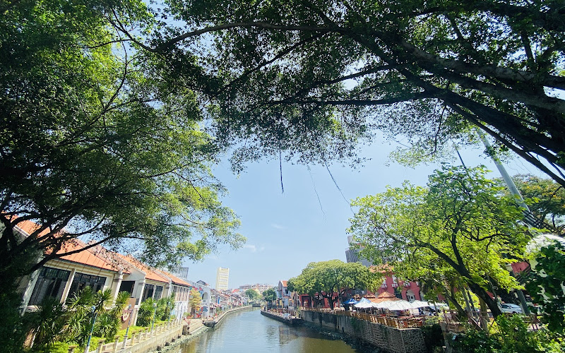 陳金聲橋