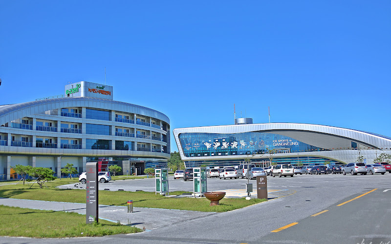 강릉메타버스체험관