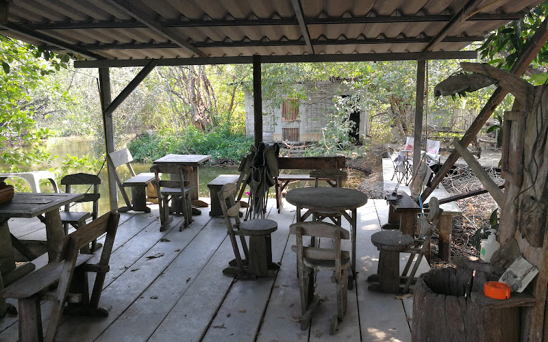 ชมปลากาแฟ