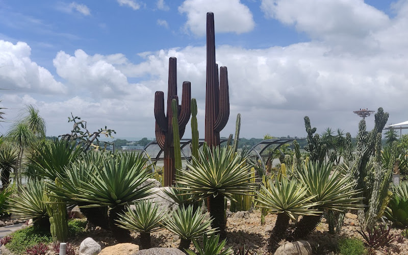 カクタス・ガーデン