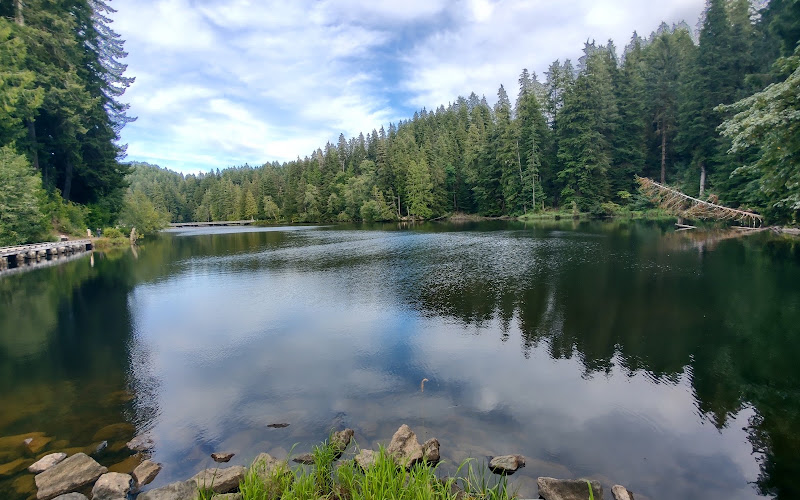 Lake Sylvia State Park