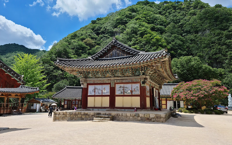 吾魚寺