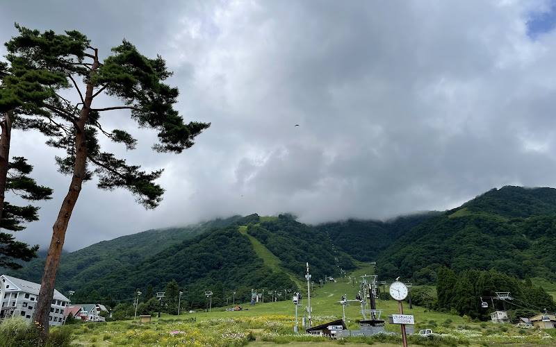 Hakuba Goryu Snow Resort