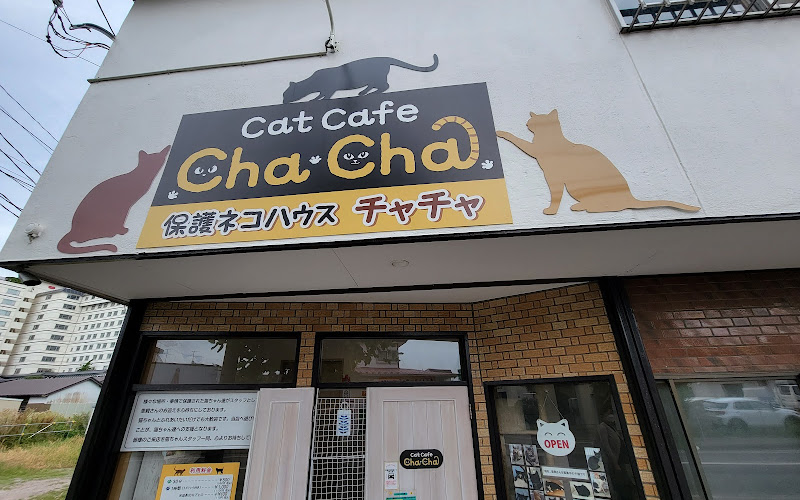 函館 保護猫カフェ チャチャ