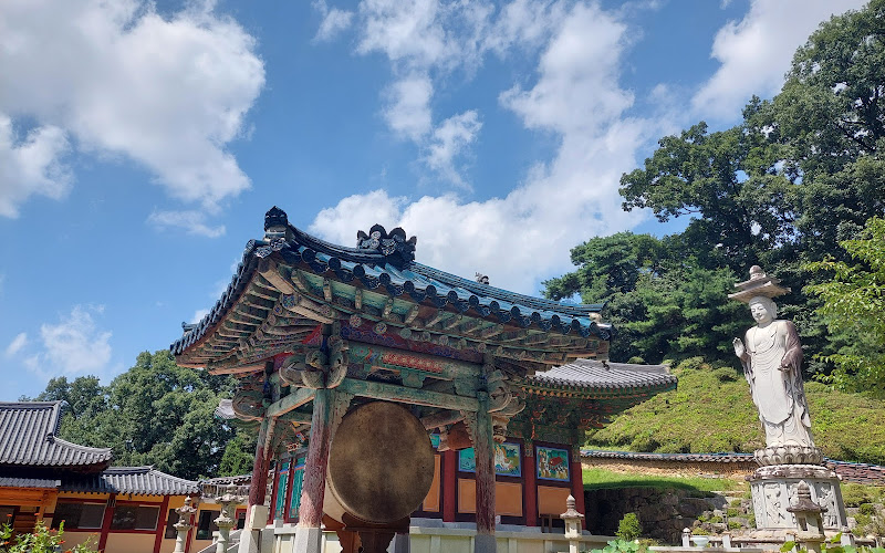 忠州 弾琴台