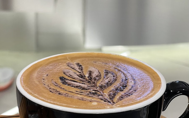 GATTA CAfe (Central Eastville) - Specialty Coffee