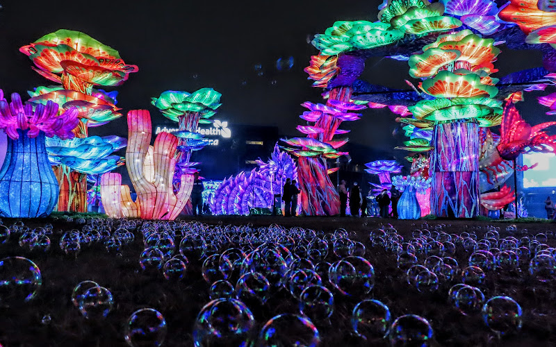 Stockton Lantern Festival
