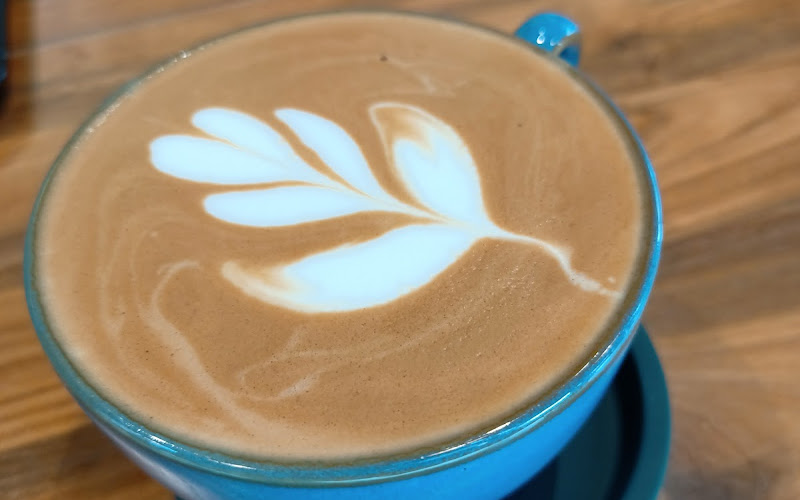 SHINNI COFFEE COMPANY