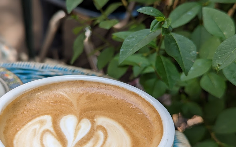 IXV coffee