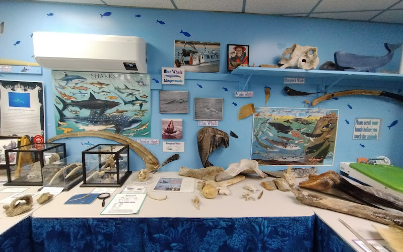 Explore the Ocean World Oceanarium