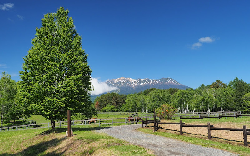 木曽馬の里 放牧場1