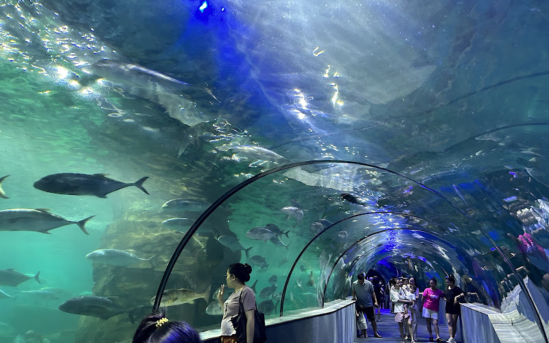 VinKE & Thủy cung Times City