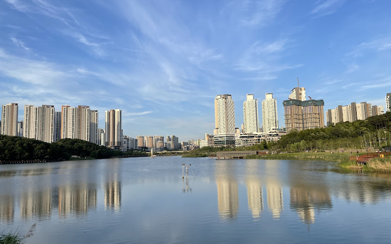 Dongtan Lake Park
