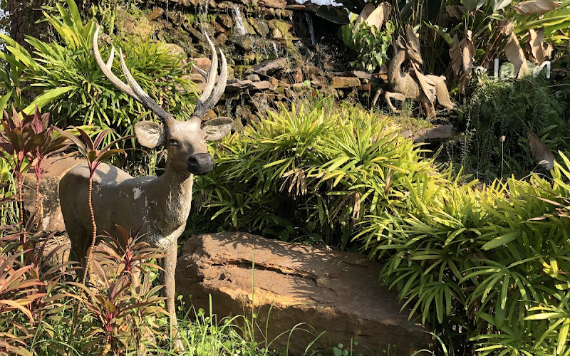 カフェ アマゾン