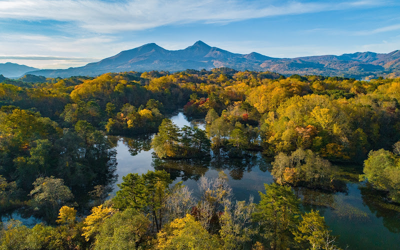 Nakasenuma Ponds Observation Area