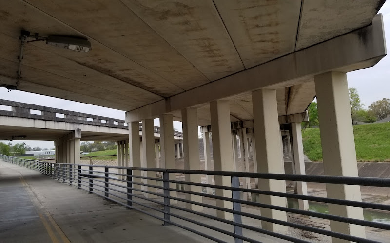 Watonga Drive Bridge Bat Colony