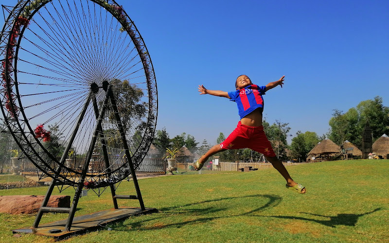 Khonkaen Exotic Pets and Fountain show