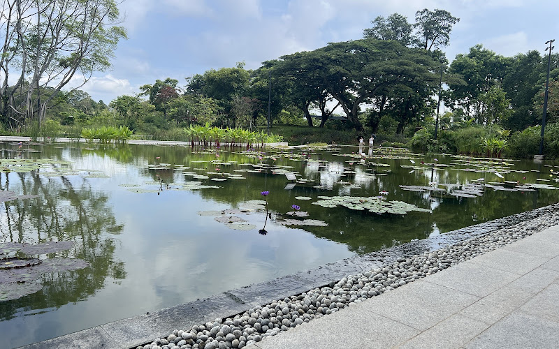 ウォーター・リリー・ガーデン